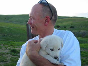 Dogs 011